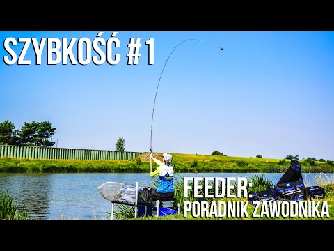 Feeder: poradnik zawodnika #1 - szybkość