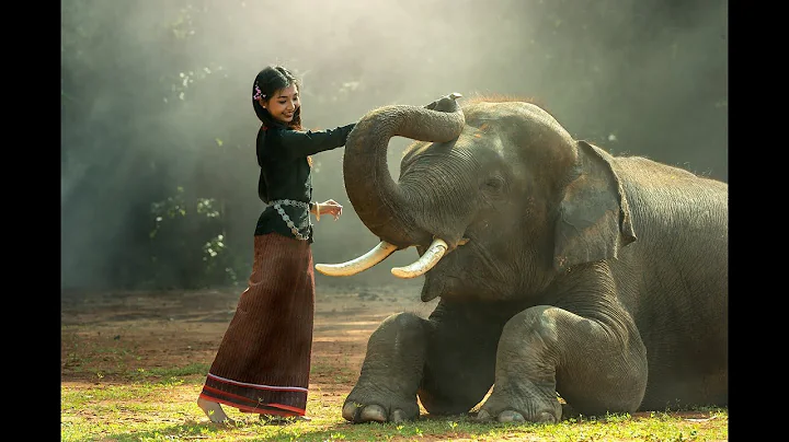 6th Commandment  - Thou Shalt not Murder - Exploring the 10 Commandments - Brian Moodie