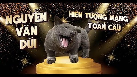 IDOL Dúi Part 1 || Ra MV chúc mừng 8 3 cực cháy || Gấu Mèo Bắc Mỹ_Nguyễn Văn Dúi