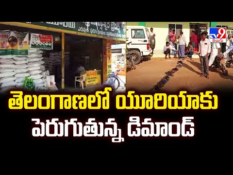 తెలంగాణలో యూరియాకు పెరుగుతున్న డిమాండ్ - TV9