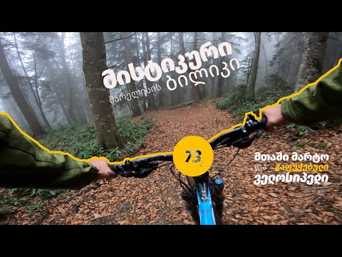 SOLO.  თოვლამდე ტური, დათვის ნაკვალევი, გაფუჭებული ველოსიპედი და მომქნცველი 73კმ. ლუდმა მიშველა