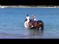Liska-riding Exclusive riding tours in Istra and Dalmatia