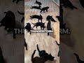 The Void The Void