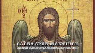 Acatistul Sfântului Ioan Botezătorul - Grabnic Ajutător Pentru Operație, Boală Gravă și Zămislire