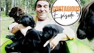 Contagious Episode 5