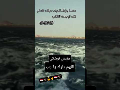 انا الاوان مفيض توشكي الان احنا مخبيين كل حاجه عندما يزداد العواء حولك فاعلم انك اوجعت الكلاب