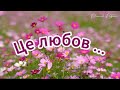 Це любов пісня про кохання Це любов пісня про кохання