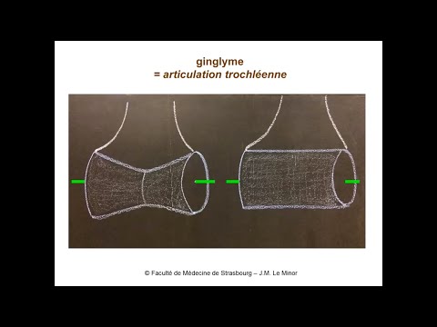 Vidéo: Tumeur de Klatskin: une brève description, symptômes, thérapie, pronostic