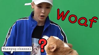 Moonbyul barking