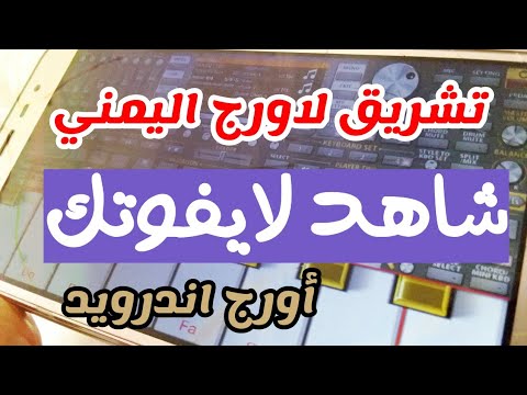 كيفيه تشريق الاورج وعزف الاغاني اليمنيه شاهد الفيديو الى الاخير