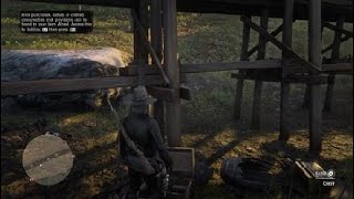 Red Dead Redemption 2 "Southern Roanoke Treasure Map Location"