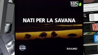 SuperQuark - NATI PER LA SAVANA