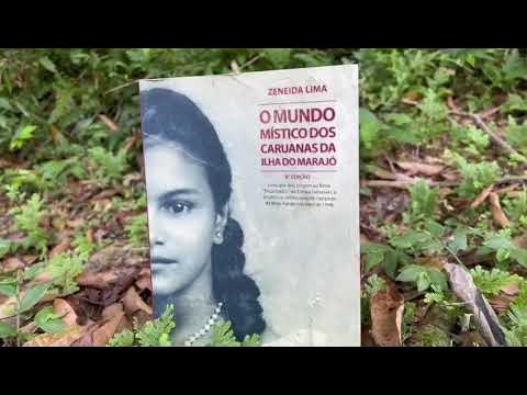 Livros - Zeneida Lima Na