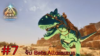 ark survival ascended scorched earth ep.7 จับ Beta Allosaurus