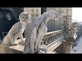 The Bells Of Notre Dame De Paris April 14 2019 Day Before Fire 