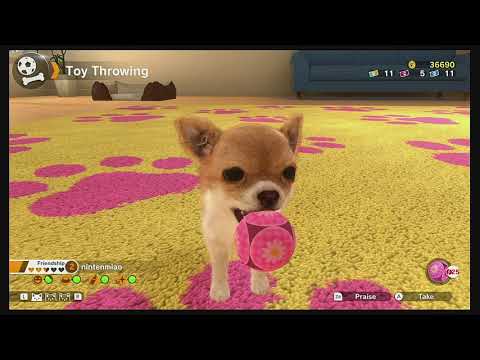 Little Friends: Dogs & Cats Nintendo Switch Gameplay
