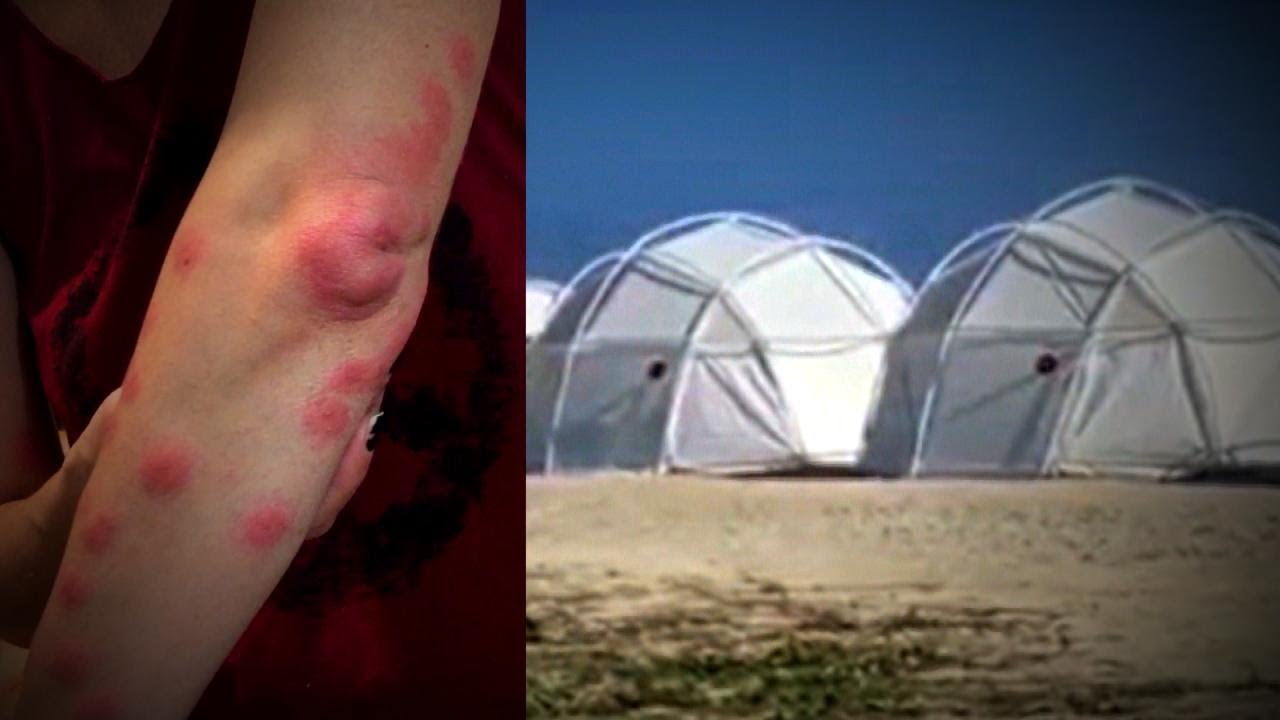 Are These The Worst Vacation Disasters 