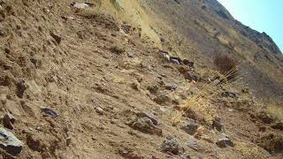 Shotcam gen 4 kınalı vuruş anı mukteşem kalite