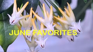 My Hoya June Favorites Promise Rodriguez