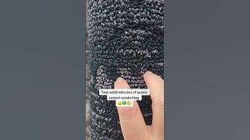 Two solid minutes of public carpet scratching 😌🧶🫡