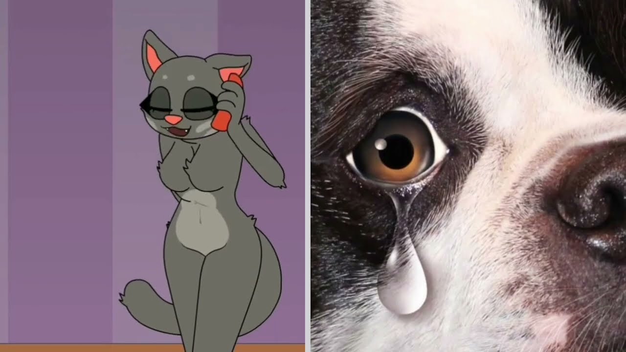 Talking TAMARA reacts to PUPPY CRYING, 