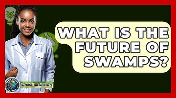 What Is The Future Of Swamps? - Earth Science Answers