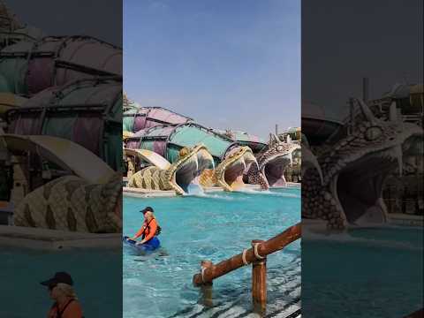 Yas waterworld in Abu Dhabi. 随走随拍