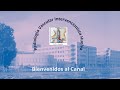 Radiología Vascular Intervencionista. Huelva. Introducción al Canal.