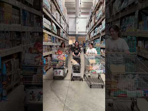 Grocery run with