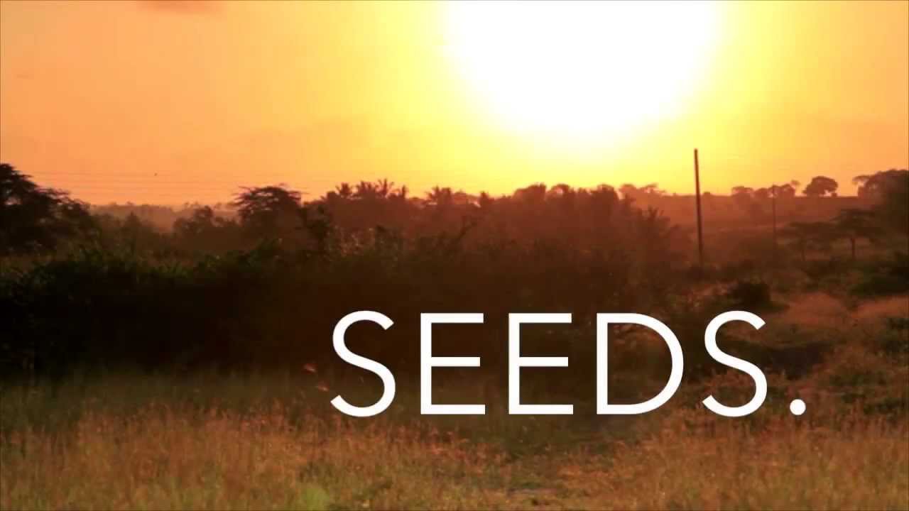 Seeds 2014