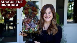 Succulent Birdcage // Garden Answer