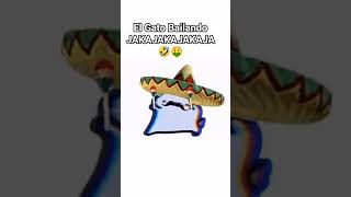 Gato Mexicano Bailando Xd 🤑 Resimi
