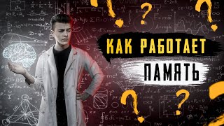 Почему мы ВСЁ ЗАБЫВАЕМ? Как работает память?