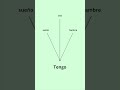 Spanish Verb Tener