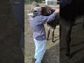 This Donkey Gives The Best Hugs 