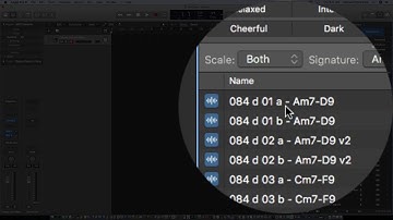 Video 7 Apple Loops in Logic