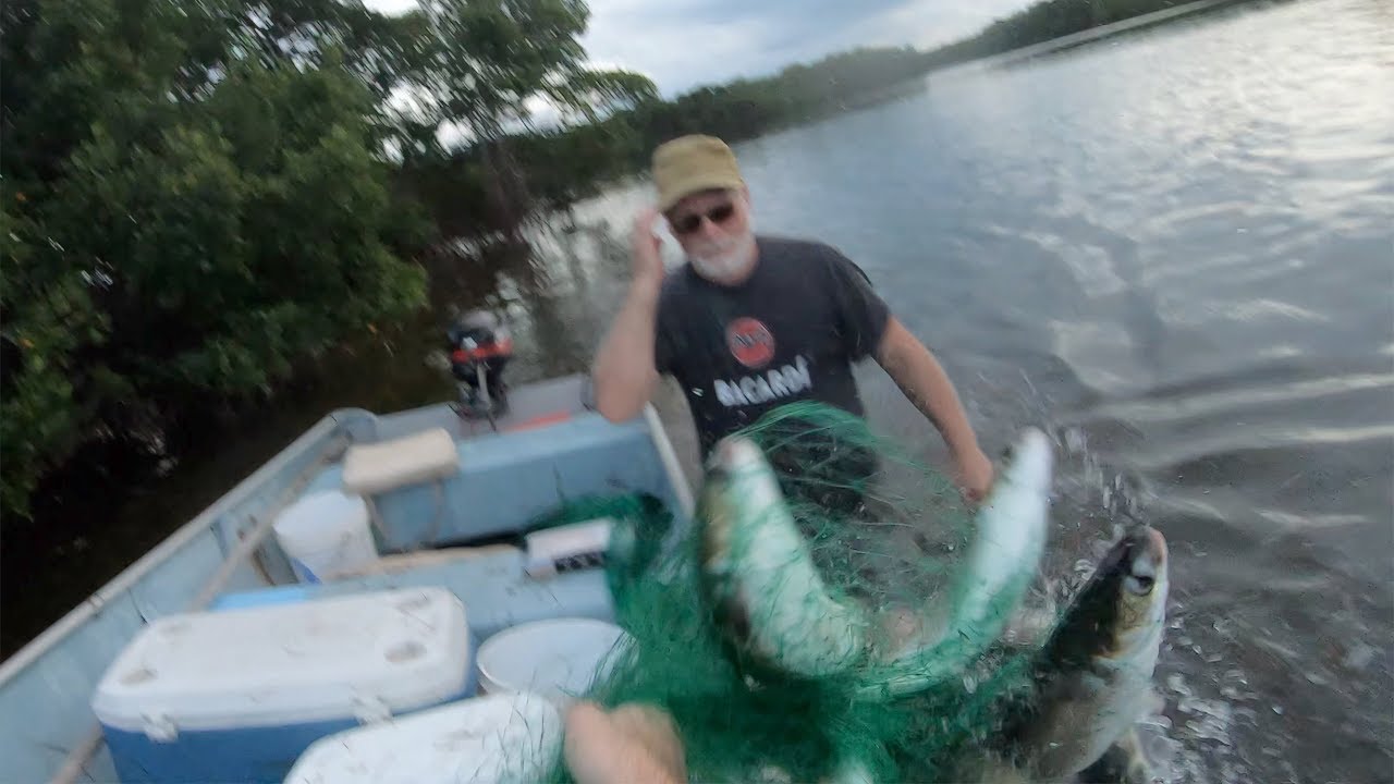 Cast Netting For Mullet Tampa Bay Boating 