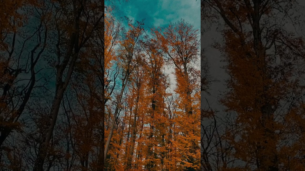 ddp - daydream adlı videoyu YouTube'da izle ddp - daydream adlı videoyu YouTube'da izle