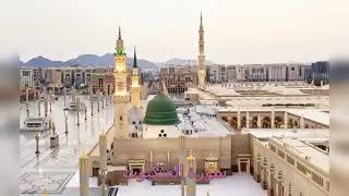 سورة العنكبوت حدر ماهر علوان