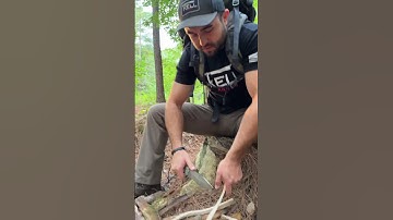 The Sapper is a CHOPPER🔪 #youtubeshorts #fixedblade #shortsvideo #short #shorts