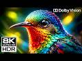 Unreal 8K HDR 240fps | Dolby Vision OLED Demo (8K/4K TV Video)