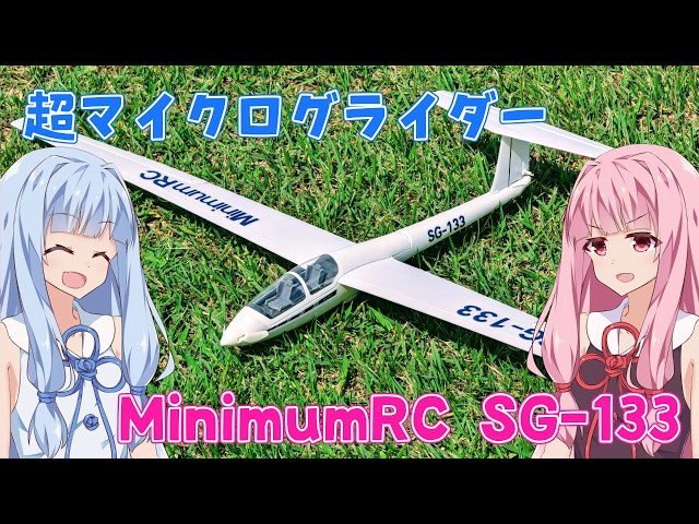 Micro Glider MinimumRC SG-133 Glider - Radio-controlled airplane