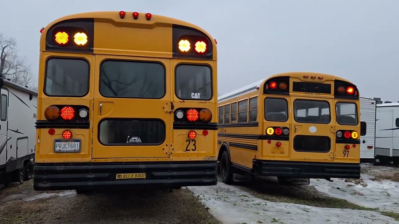 Проверяю автобусы и продолжаю бродить.