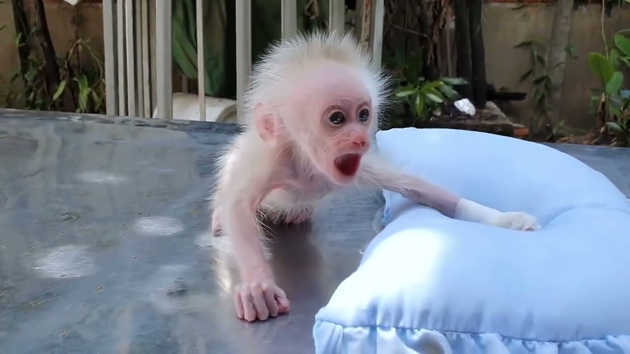 What a pity! He is crying for his mother