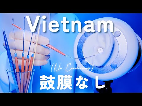【ASMR】ベトナム耳かき・鼓膜なし【刺激最大級】圧刺激強め・ほぼ声なし・作業睡眠用/Vietnamese earpicks (without eardrum)