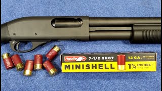 12 Gauge Mini Shells & Remington 870 Shotgun  Will They Cycle? Failure! DO NOT USE FOR HOME DEFENSE