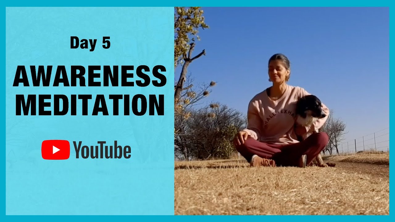 Day 5 - Awareness Meditation - YouTube