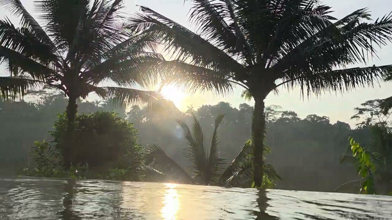 Sunrise in infinity pool @Padma resort Ubud Bali at 6:30 am ultimate 5 star⭐⭐⭐⭐⭐ peaceful relaxation
