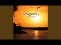 Dragonfly dream mix