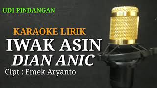 IWAK ASIN DIAN ANIC karaoke